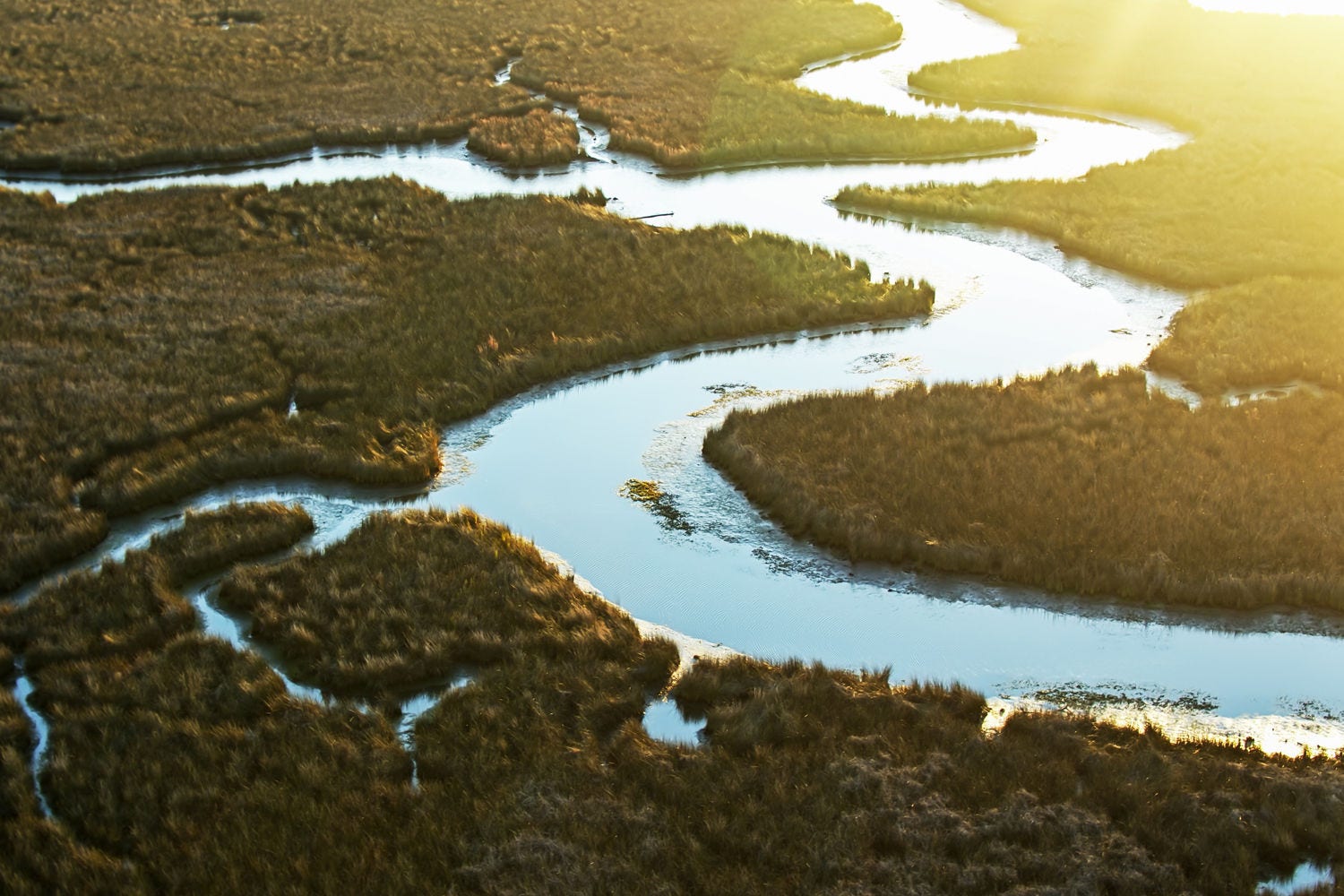 Flussdelta