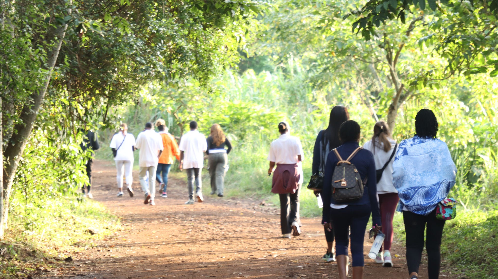 Karura Walk