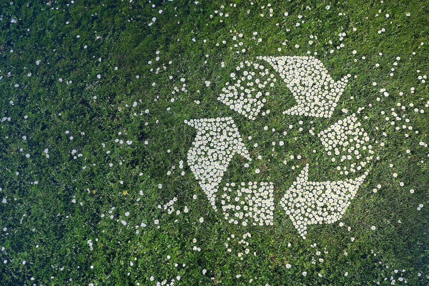 Recycling und Kreislaufwirtschaft