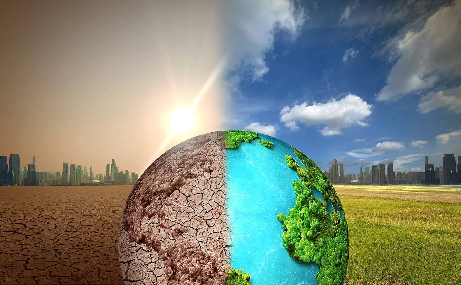 Globe split in two, one side healthy, one side not