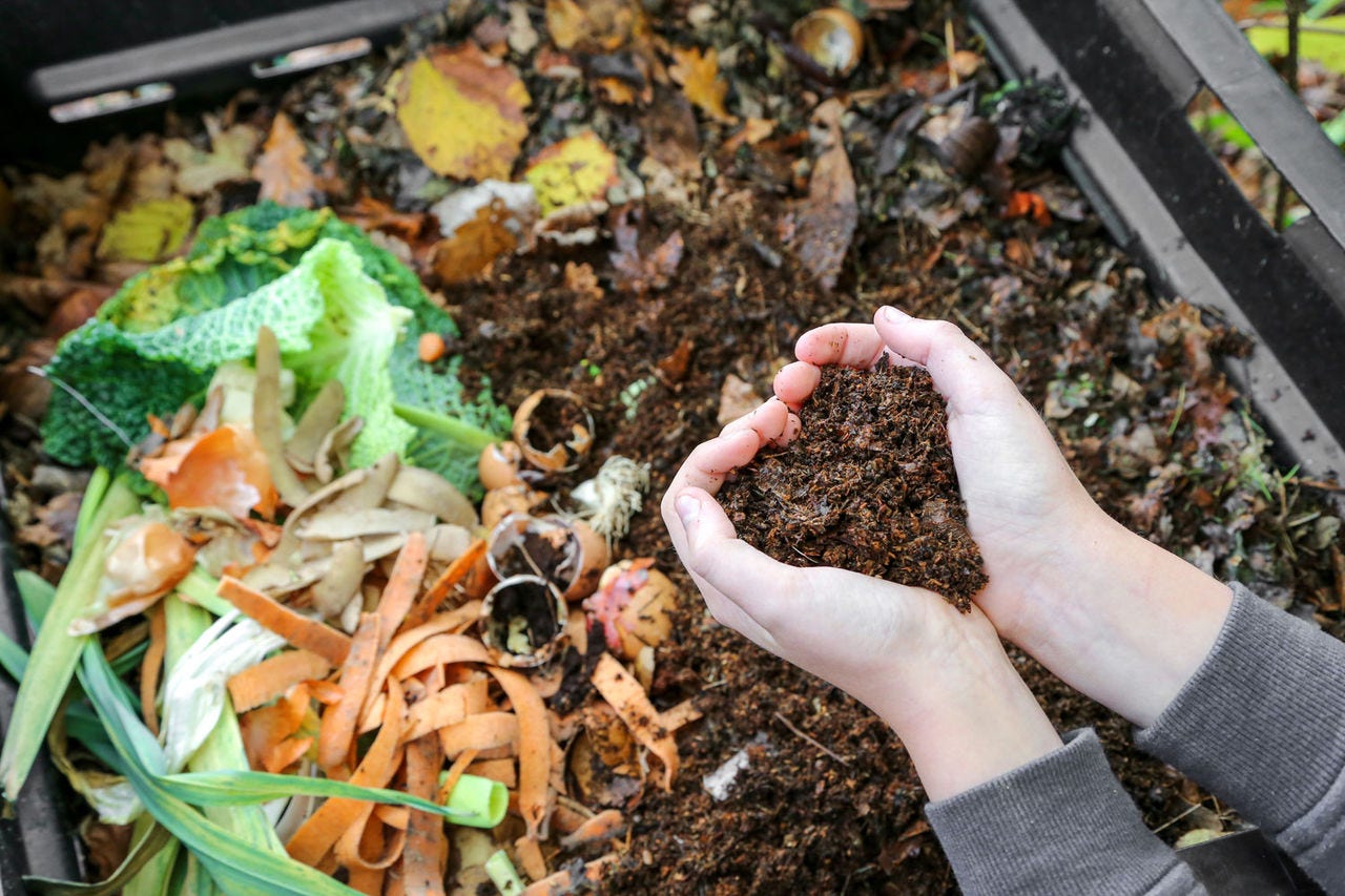 A person holding compost