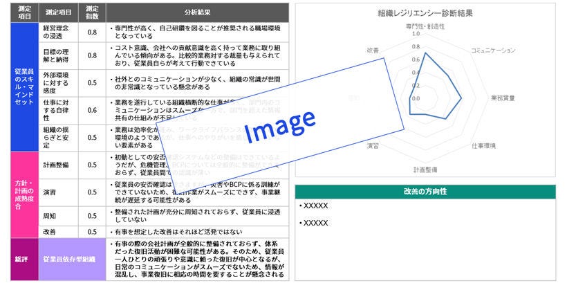 Japanese alt text: 組織レジリエンス診断サービス_図表5