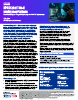 Amaranth Dragon - Targeted Espionage via WinRAR Exploitation