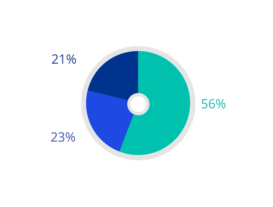 2021 Socio-economic background - Firm-wide