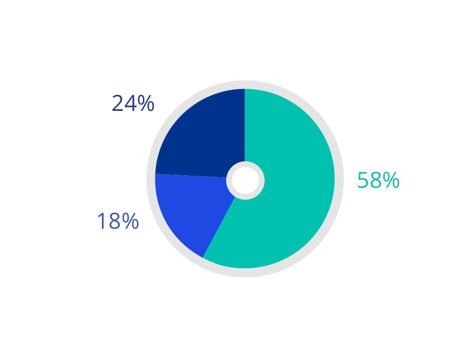 2021 Socio-economic background - Partner