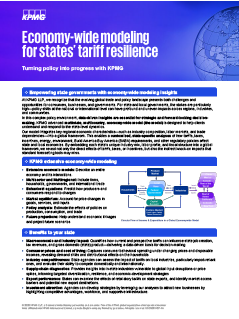 Economy-wide Modeling for States' Tariff Resilience